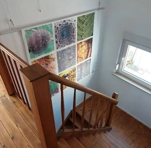 דירה Gemuetliches Haeuschen Mit Innenhof - Longstay באד קראוצנבאך